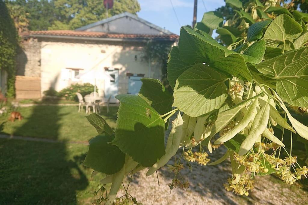 Entire Apartment With Swimming Pool Near Aubeterre Saint-Romain  Bagian luar foto