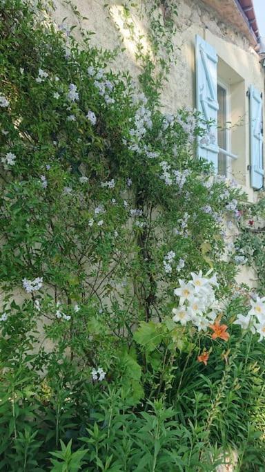 Entire Apartment With Swimming Pool Near Aubeterre Saint-Romain  Bagian luar foto